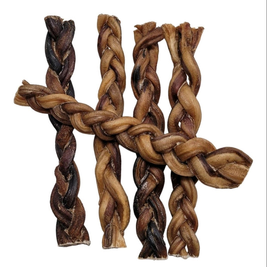 Braided Pizzle 10"