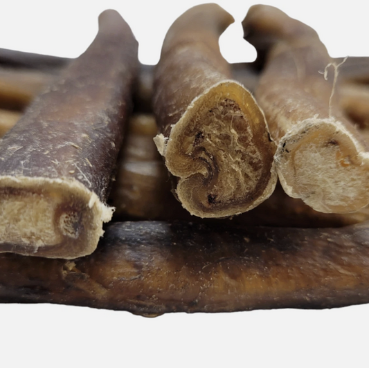 Pizzle Stick (15cm) Bully Stick Chew Natural Dog Treat