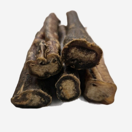 Thick Pizzle Stick 12cm Chunky Bully Stick 100% Natural Dog Treat Chew