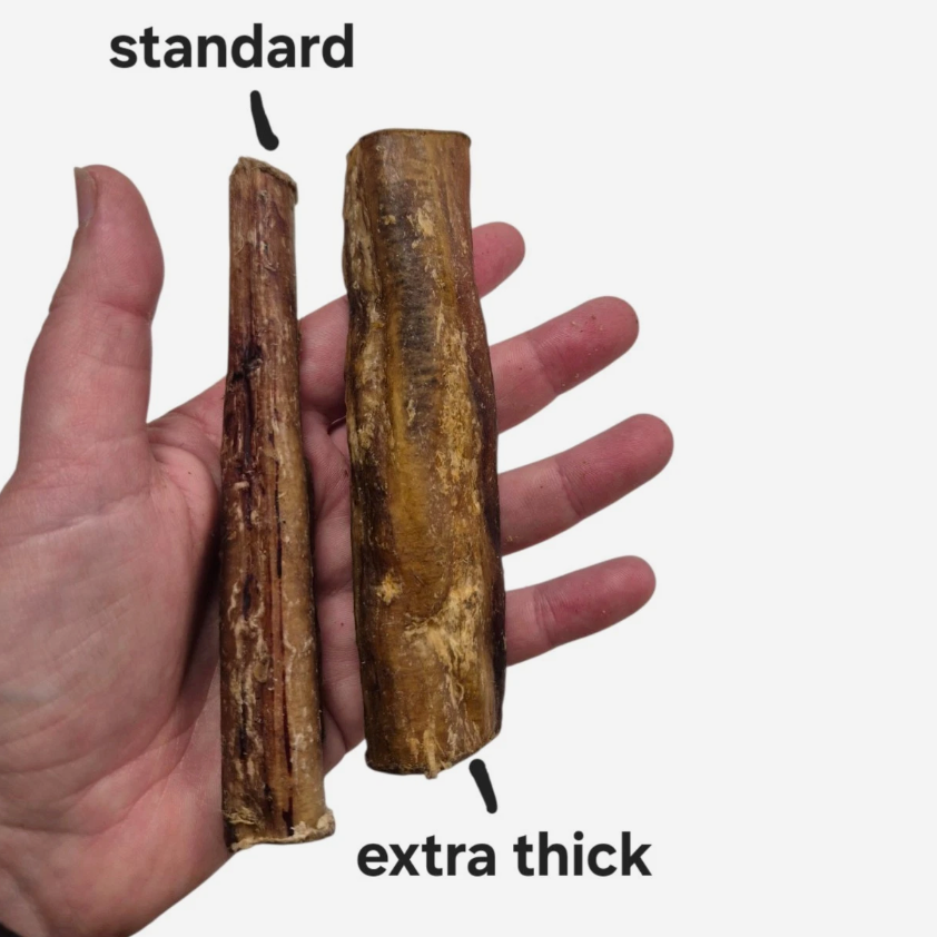 Thick Pizzle Stick 12cm Chunky Bully Stick 100% Natural Dog Treat Chew
