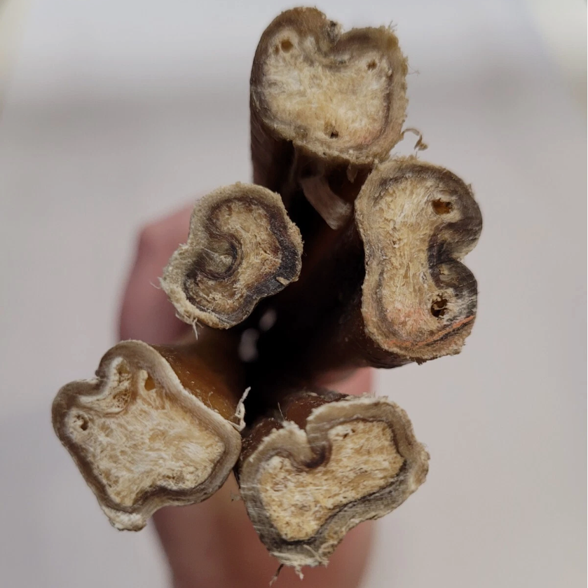 Pizzle Stick (25cm) Natural Dog Chew Treat Bully Stick