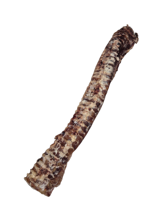 Large Beef Trachea