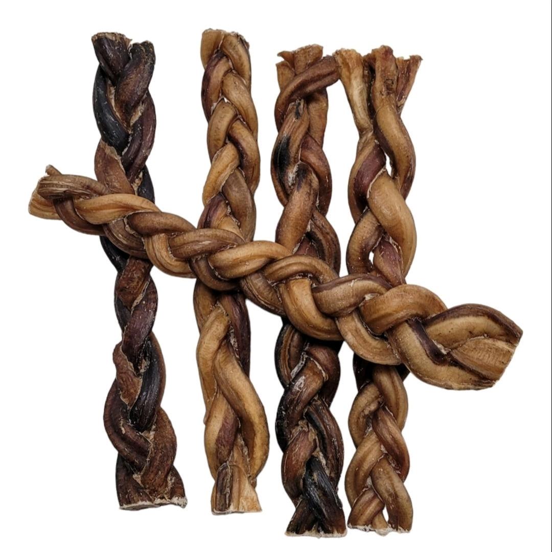 Braided Pizzle 10"