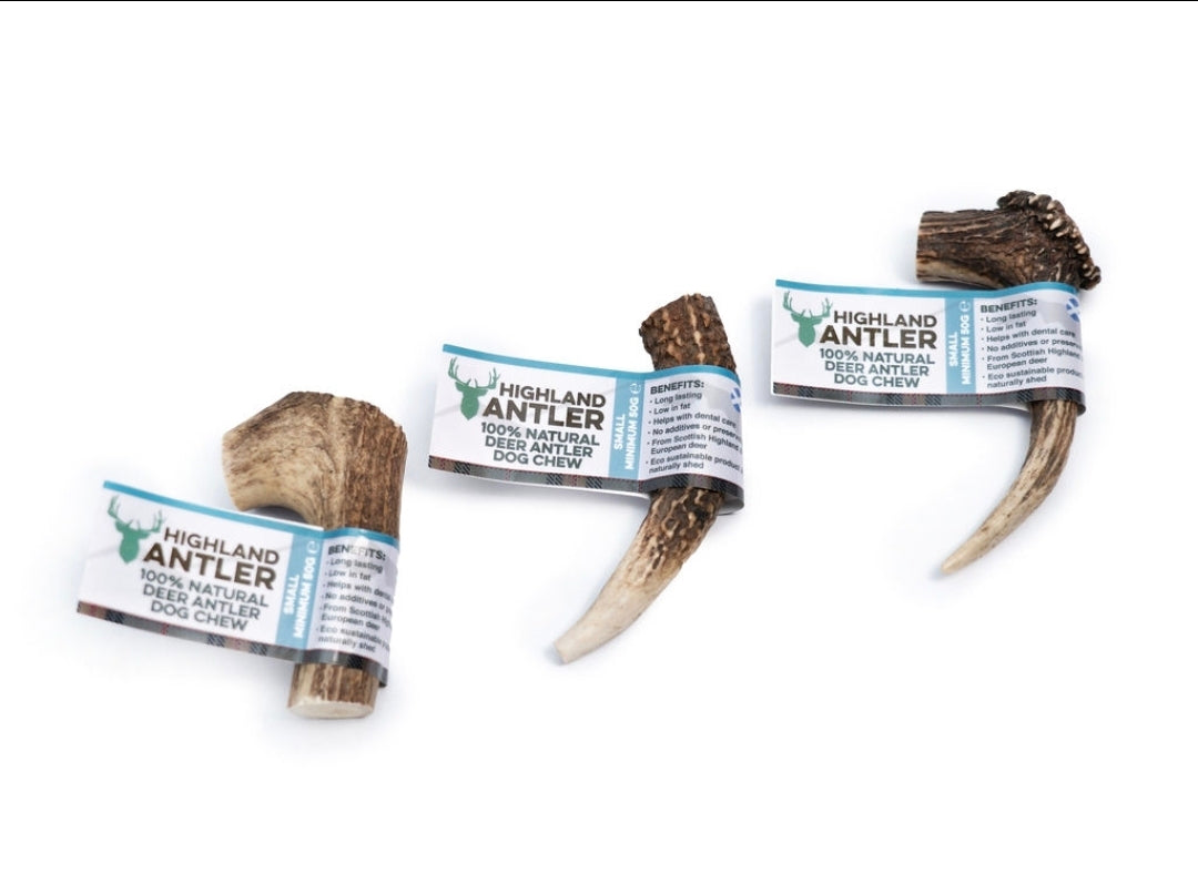 Antler small (Min 50g)