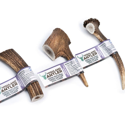 Antler medium (Min 75g)