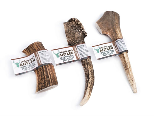 Antler extra large (Min 220g)