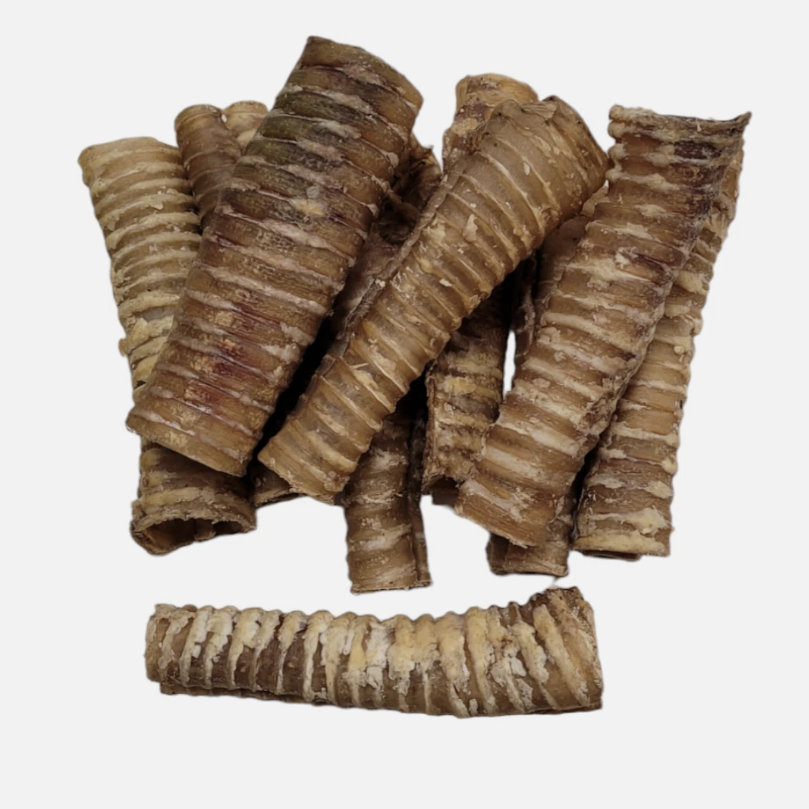 Beef Trachea Natural Dog Treat Chew Enrichment
