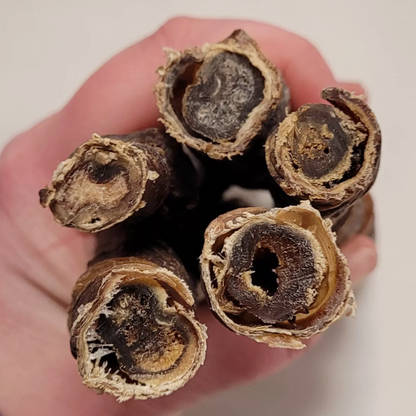 Pizzle Stick (15cm) Wrapped In Biltong Natural Dog Chew Treat Bully Stick