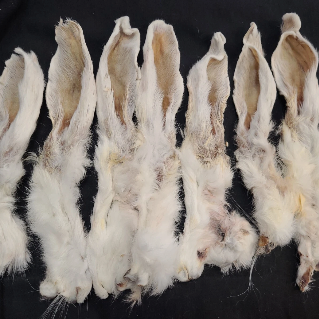Rabbit Ears Natural with fur Hair Hypoallergenic Dog Treat Chew