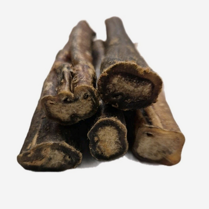 Thick Pizzle Stick 12cm Chunky Bully Stick 100% Natural Dog Treat Chew