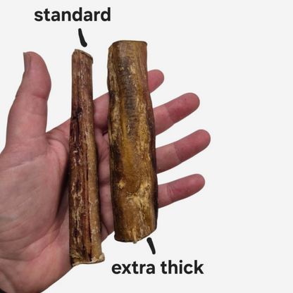 Thick Pizzle Stick 12cm Chunky Bully Stick 100% Natural Dog Treat Chew