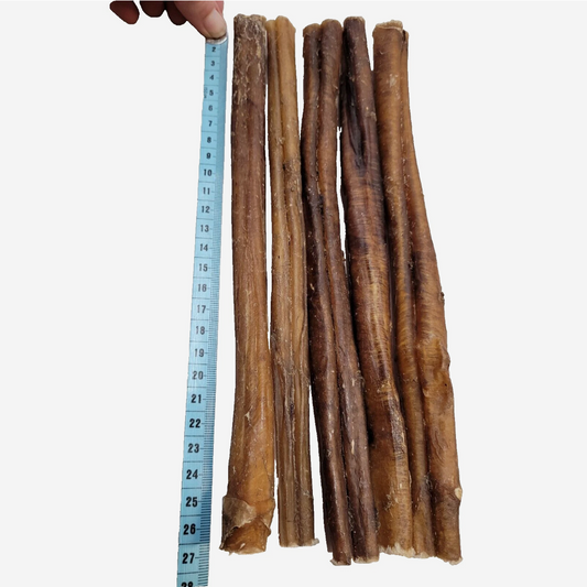 Pizzle Stick (25cm)  Natural Dog Chew Treat Bully Stick