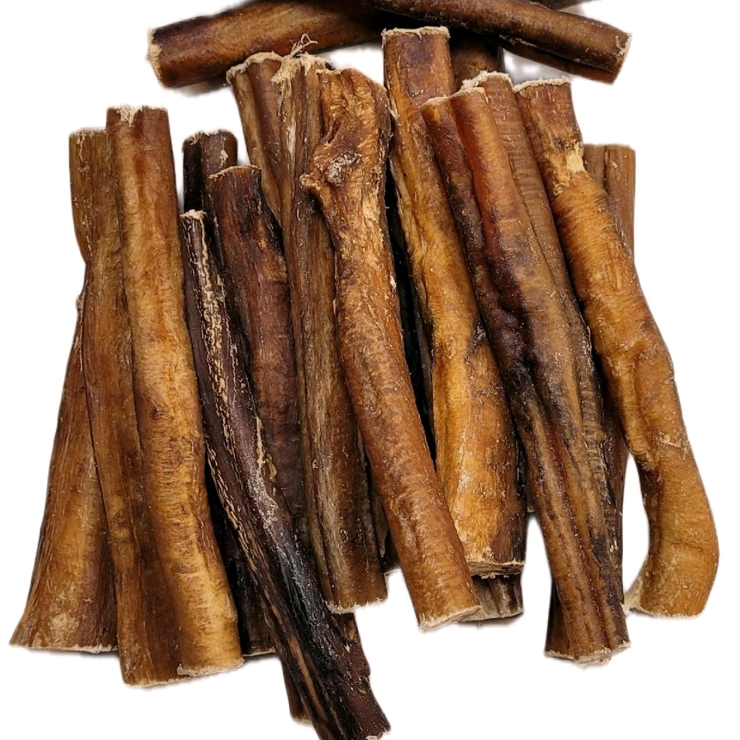 Thick Pizzle Stick 15cm Chunky Bully 100% Naturally Dried Dog Treat Chew