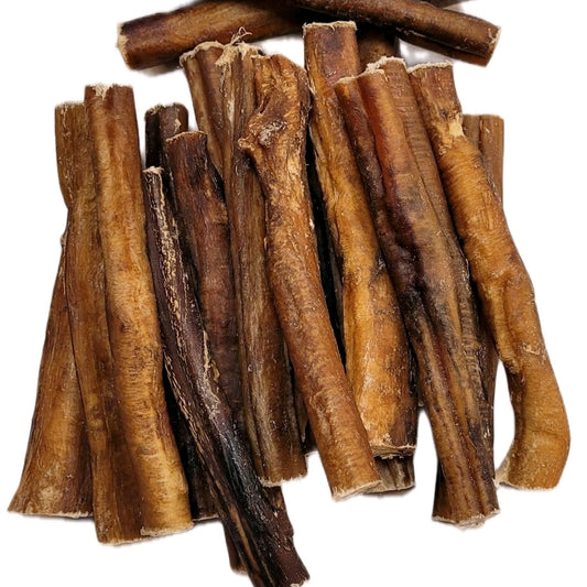 Thick Pizzle Stick 15cm Chunky Bully 100% Naturally Dried Dog Treat Chew